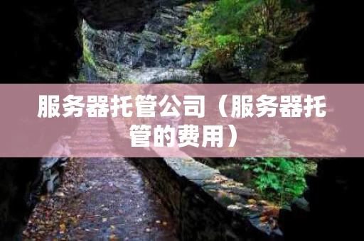 服务器托管公司（服务器托管的费用）