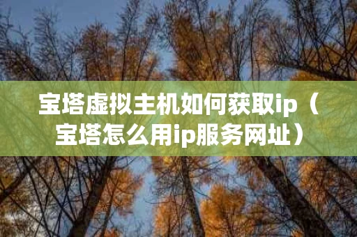 宝塔虚拟主机如何获取ip（宝塔怎么用ip服务网址）