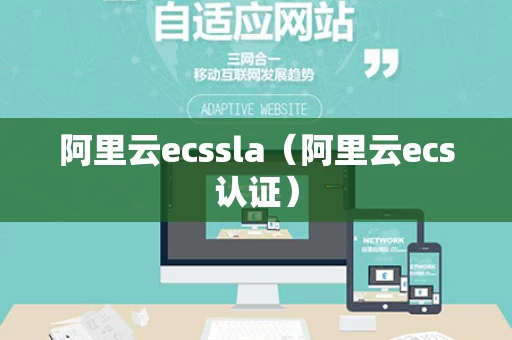 阿里云ecssla（阿里云ecs认证）