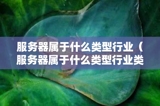 服务器属于什么类型行业（服务器属于什么类型行业类别）