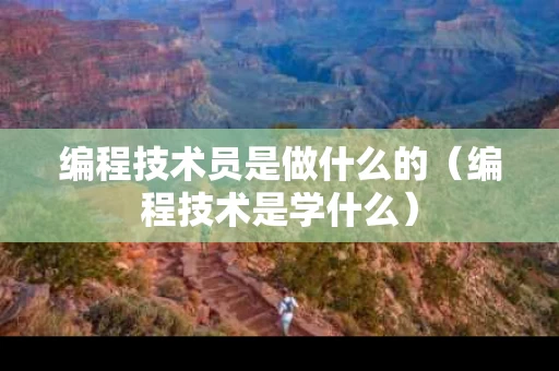 编程技术员是做什么的（编程技术是学什么）