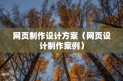 网页制作设计方案（网页设计制作案例）