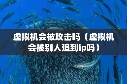 虚拟机会被攻击吗（虚拟机会被别人追到ip吗）