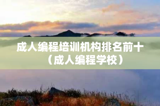 成人编程培训机构排名前十（成人编程学校）