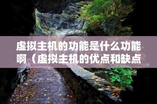 虚拟主机的功能是什么功能啊（虚拟主机的优点和缺点）