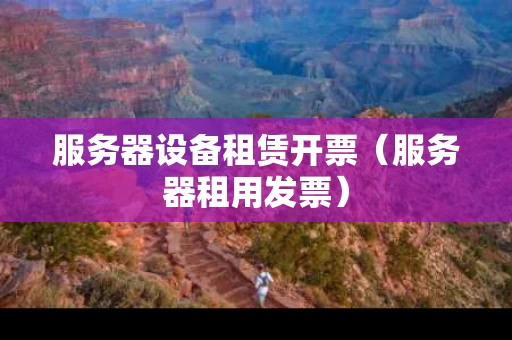 服务器设备租赁开票（服务器租用发票）