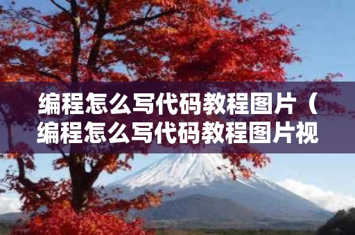 编程怎么写代码教程图片（编程怎么写代码教程图片视频）