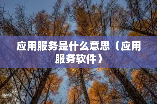 应用服务是什么意思（应用服务软件）