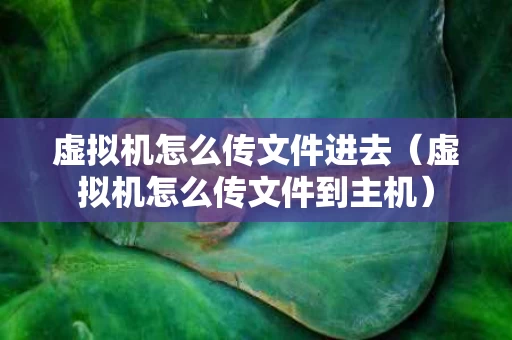虚拟机怎么传文件进去（虚拟机怎么传文件到主机）