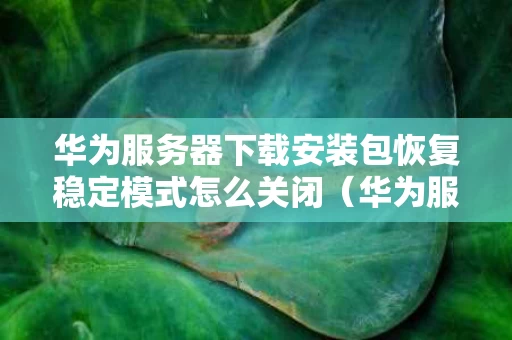 华为服务器下载安装包恢复稳定模式怎么关闭（华为服务器下载安装包恢复稳定模式怎么关闭）