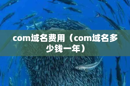com域名费用（com域名多少钱一年）