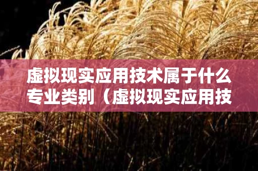 虚拟现实应用技术属于什么专业类别（虚拟现实应用技术属于什么院系）