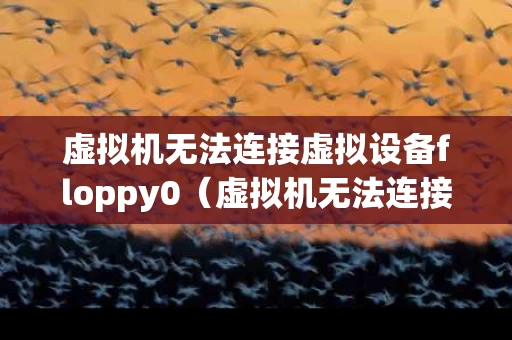 虚拟机无法连接虚拟设备floppy0（虚拟机无法连接虚拟设备Ethernet0）