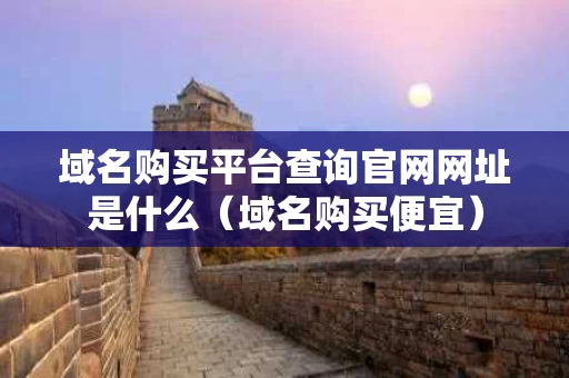 域名购买平台查询官网网址是什么（域名购买便宜）