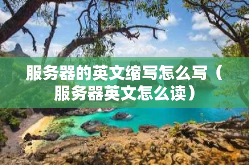 服务器的英文缩写怎么写（服务器英文怎么读）