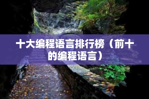 十大编程语言排行榜（前十的编程语言）