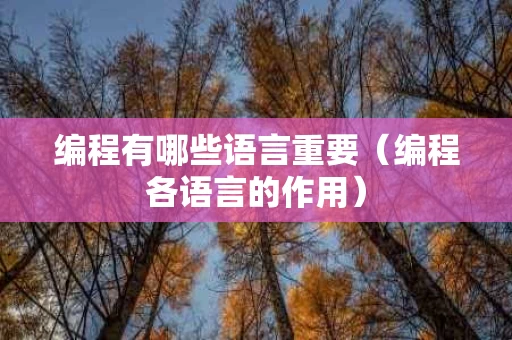 编程有哪些语言重要（编程各语言的作用）