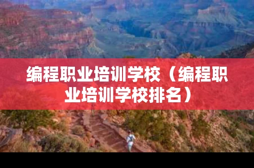 编程职业培训学校（编程职业培训学校排名）