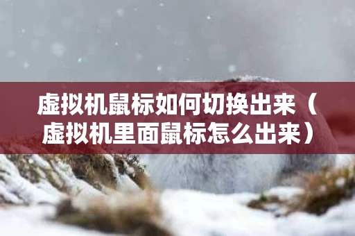 虚拟机鼠标如何切换出来（虚拟机里面鼠标怎么出来）