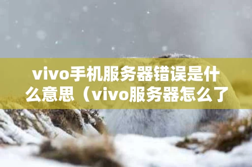 vivo手机服务器错误是什么意思（vivo服务器怎么了）