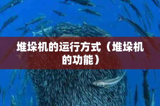 堆垛机的运行方式（堆垛机的功能）