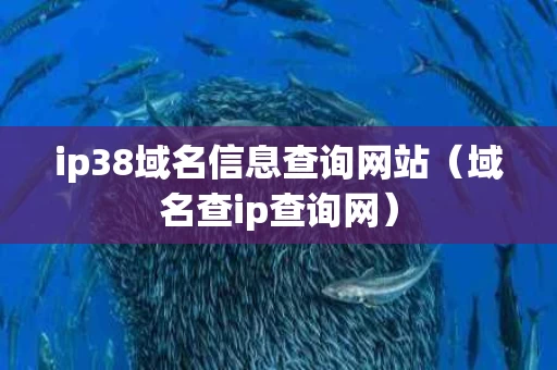 ip38域名信息查询网站（域名查ip查询网）