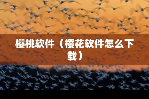 樱桃软件（樱花软件怎么下载）