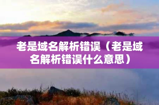 老是域名解析错误（老是域名解析错误什么意思）