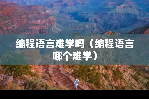 编程语言难学吗（编程语言哪个难学）