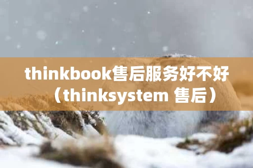 thinkbook售后服务好不好（thinksystem 售后）