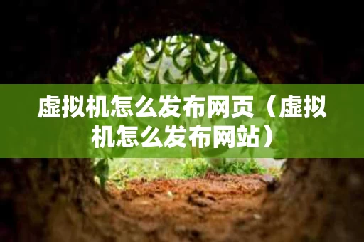 虚拟机怎么发布网页（虚拟机怎么发布网站）