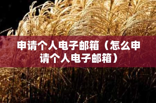 申请个人电子邮箱（怎么申请个人电子邮箱）