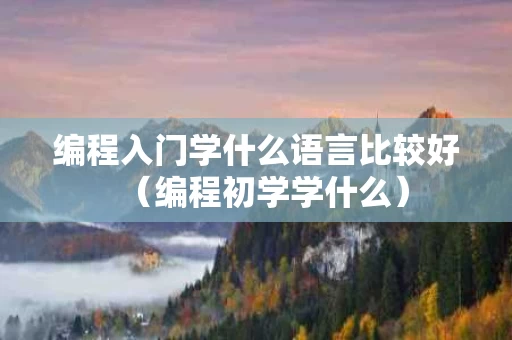 编程入门学什么语言比较好（编程初学学什么）
