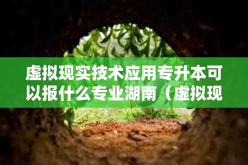 虚拟现实技术应用专升本可以报什么专业湖南（虚拟现实技术应用专升本考什么）