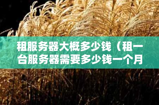 租服务器大概多少钱（租一台服务器需要多少钱一个月）