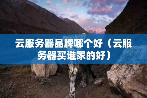 云服务器品牌哪个好（云服务器买谁家的好）