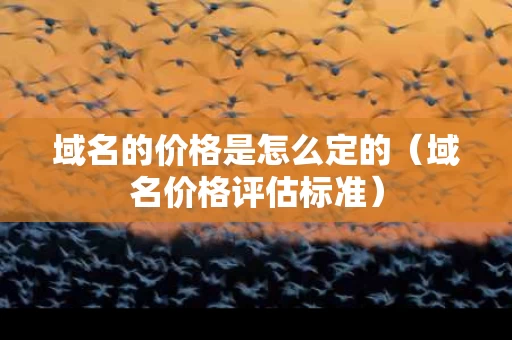 域名的价格是怎么定的（域名价格评估标准）