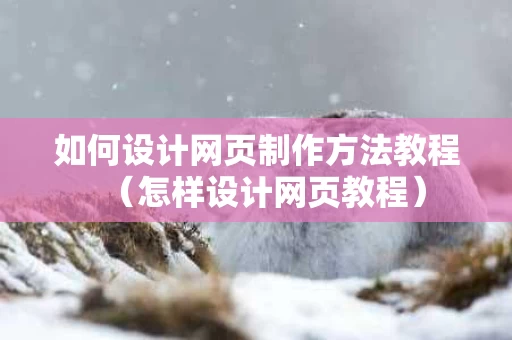 如何设计网页制作方法教程（怎样设计网页教程）