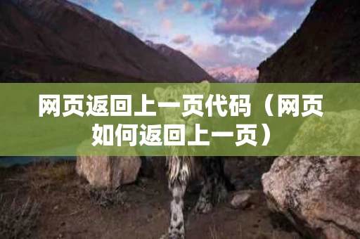 网页返回上一页代码（网页如何返回上一页）