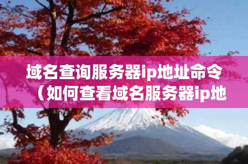 域名查询服务器ip地址命令（如何查看域名服务器ip地址查询）