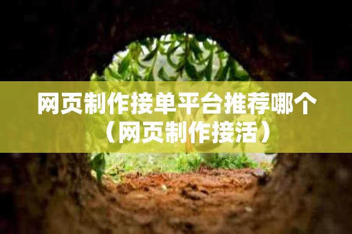 网页制作接单平台推荐哪个（网页制作接活）