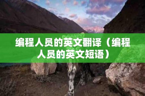 编程人员的英文翻译（编程人员的英文短语）