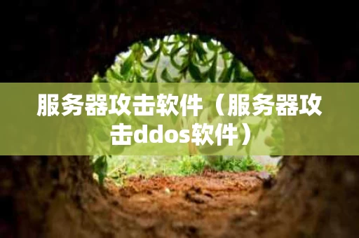 服务器攻击软件（服务器攻击ddos软件）