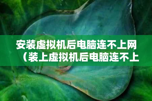 安装虚拟机后电脑连不上网（装上虚拟机后电脑连不上wifi热点了）