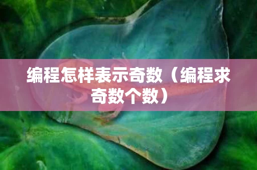 编程怎样表示奇数（编程求奇数个数）