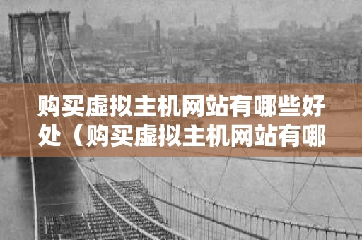 购买虚拟主机网站有哪些好处（购买虚拟主机网站有哪些好处和坏处）