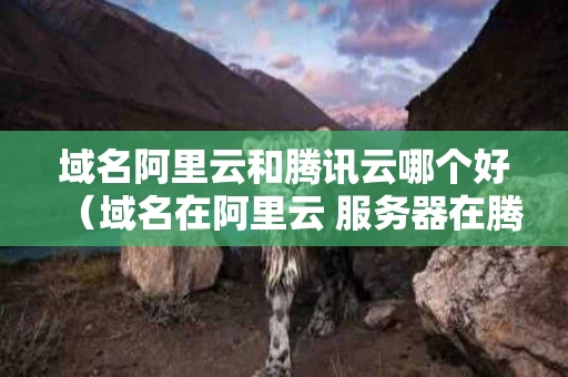 域名阿里云和腾讯云哪个好（域名在阿里云 服务器在腾讯云）