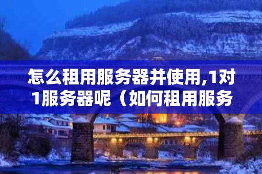 怎么租用服务器并使用,1对1服务器呢（如何租用服务器做网站）