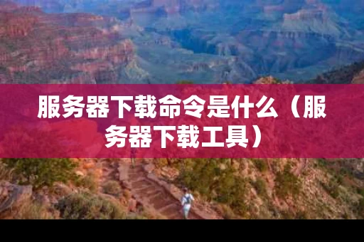 服务器下载命令是什么（服务器下载工具）