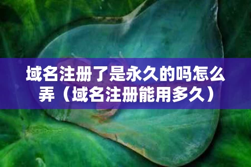 域名注册了是永久的吗怎么弄（域名注册能用多久）